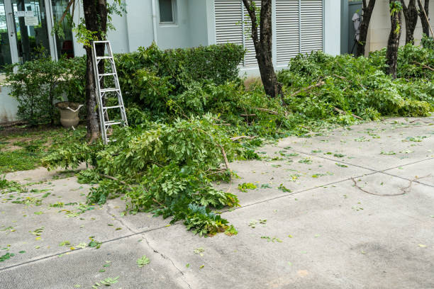 Halfway House, PA Tree Service Company